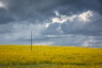 il palo a colori