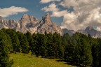 buon Ferragosto buon Ferragosto
