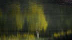 Il riflesso