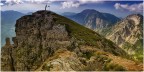 Monte Carega, circa quota 2050m. Agosto 2026