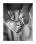 piedini di neonato piedini di neonato