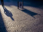 Shadows Shadows