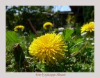 Panasonic DMC-FZ30