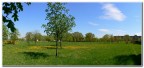primavera..