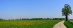la campagna