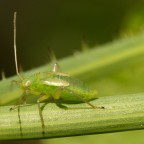 Che pupa!!
