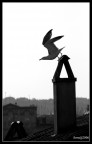Pronti ??? Via!!! 2