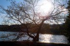 controluce
