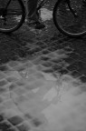 il viaggio