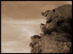 L'Arte della Natura