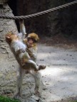 ... ma fatti dare una manooooo !!!