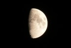 In attesa della luna piena