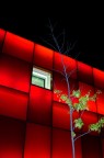 rosso di sera