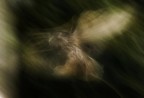 volo notturno