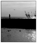 WALKING TO...