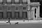 Bambina rincorre un cane