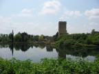 ninfa