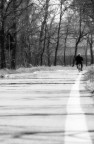 Il Viaggio