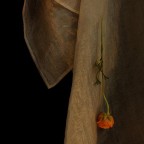 senzatitolo_1