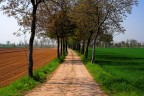 Path