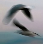 gabpanning