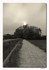 Distanze
