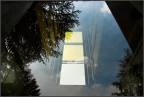 riflessi sull'..
