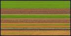 linee agricole