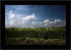 Atmosfere