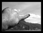 toccare il cielo con un dito