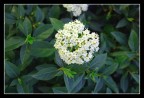 Cenni di primavera