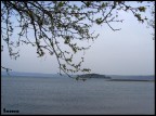 (Scattata dal lungolago di Marta)