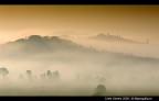 Morning Fog
