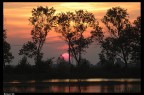 Tramonto all'oasi