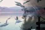 il filo dei sogni 2