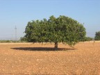 solo nel deserto