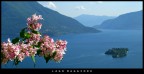 cartolina del Lago Maggiore