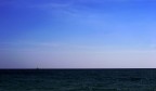 vela