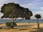 al mare