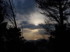 Sony DSC S50