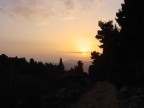 Sony DSC S50