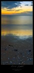 First Light