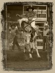 serie di immagini scattate al cowboy's guest ranch di voghera il 21/5/2006