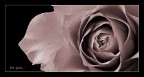 for you...