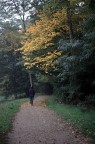 Un pizzico di natura
