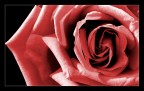 for you...2