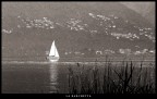 la barca