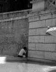 guardone (dedicata a derby)