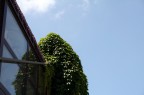 universit tor vergata
