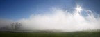 nebbia